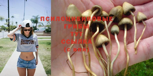 таблы Михайловка