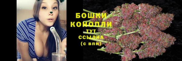 соль ск Михайловск