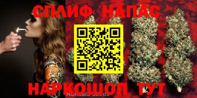 прущие крисы Абинск