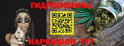 индика Азнакаево