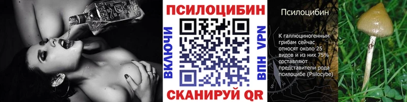 mega tor Алексин Галлюциногенные грибы ЛСД