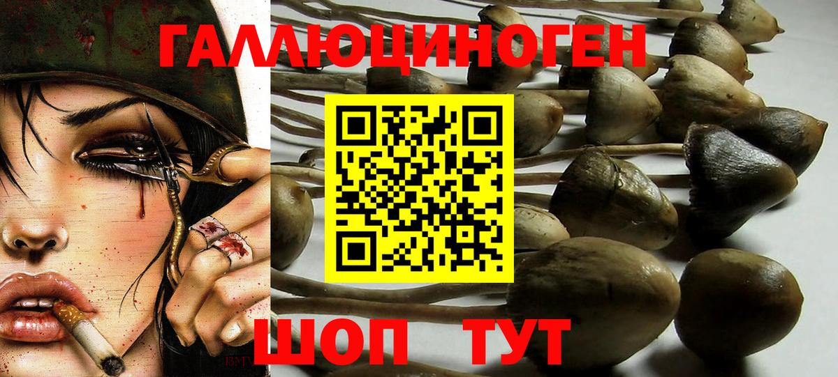 Псилоцибиновые грибы Magic Shrooms  Вход с VPN  Алексин 