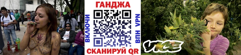 Шишки марихуана план Алексин